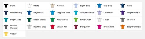 Ladies Coolmax Polo Shirt